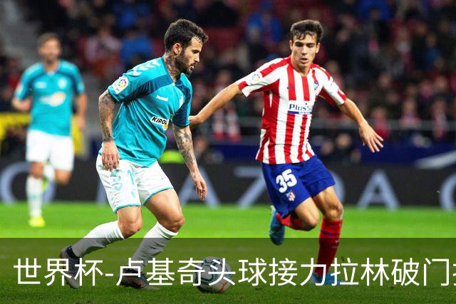 世界杯-卢基奇头球接力拉林破门扳平 加拿大1-1波黑